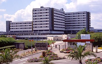 Cliquez pour visiter Jean Minjoz