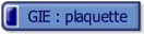 GIE : plaquette.