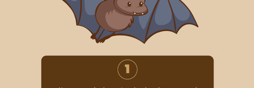 Vigilance chauves-souris