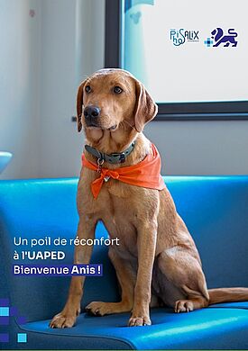 « Un poil de réconfort » : un chien de soutien rejoint l’UAPED