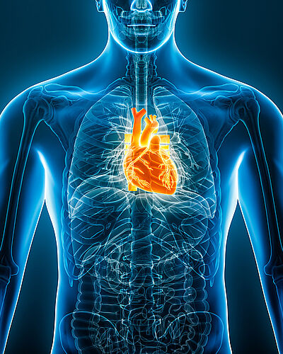 Journées nationales d'imagerie endocoronaire par cohérence optique à Besançon