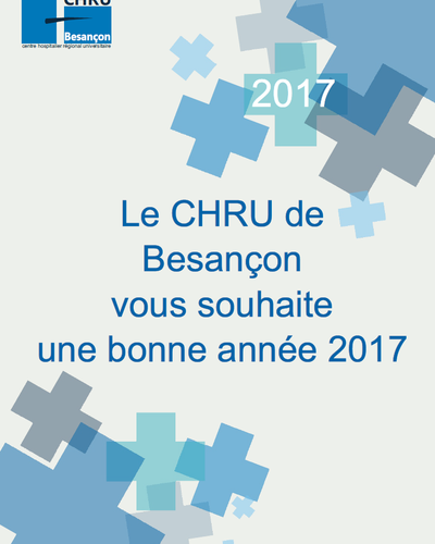 Meilleurs voeux 2017