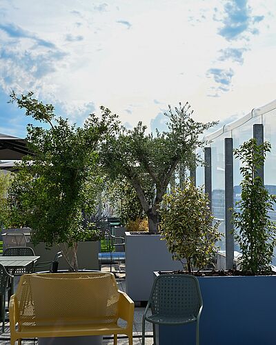 Le jardin thérapeutique et sensoriel en soins palliatifs est inauguré !