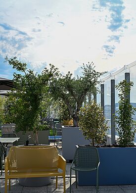 Le jardin thérapeutique et sensoriel en soins palliatifs est inauguré !