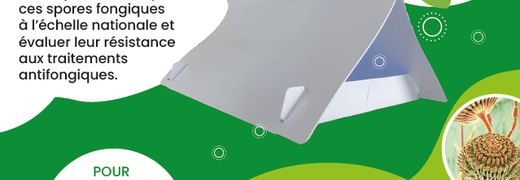 Résistance aux antifongiques : participez à une étude scientifique en traquant Aspergillus fumigatus dans l’air