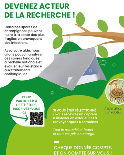 Résistance aux antifongiques : participez à une étude scientifique en traquant Aspergillus fumigatus dans l’air