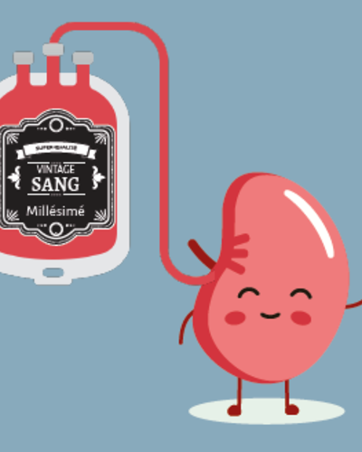 Greffe rénale : la transfusion de poches de sang de plus de 20 jours diminue le risque d’échec de la greffe de près de 25%